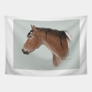 Pinto Horse Tapestry