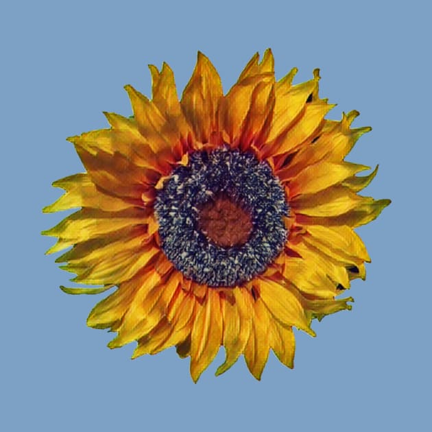 Sunflower-Digital Painting by PhotoArts