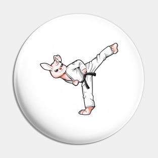 Cartoon Hase doing Hapkido Pin