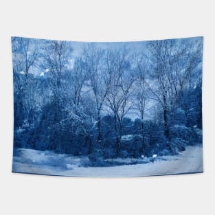 Winter Dreams Tapestry