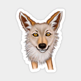 Cute Coyote Drawing Magnet