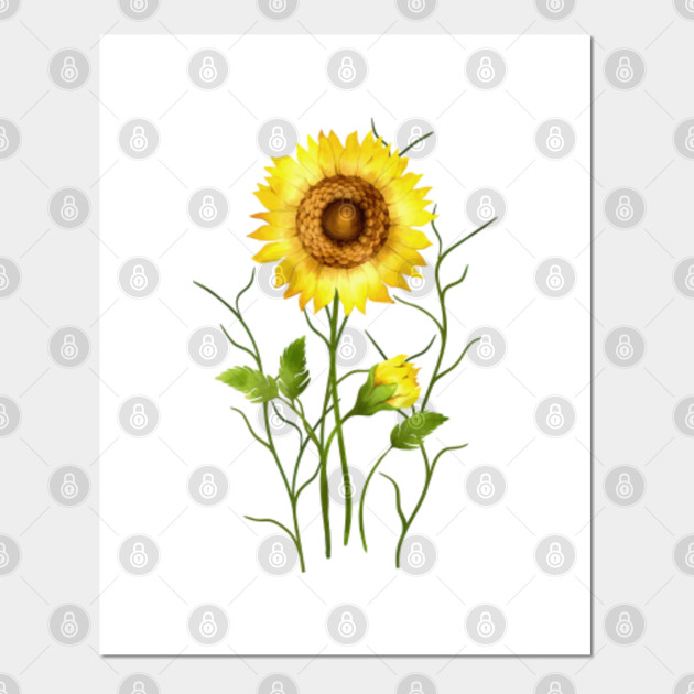 Sunflower Flower Posters And Art Prints Teepublic