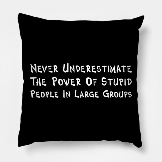 Never Underestimate The Power Of Stupid People Pillow by PeppermintClover