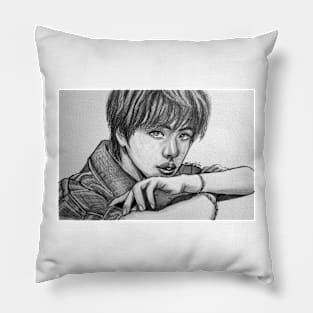 PtD SJ Pillow