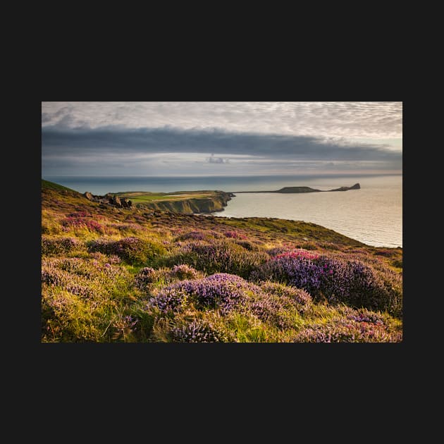 Worms Head and Rhossili Bay from Rhossili Down, Gower, Wales by dasantillo