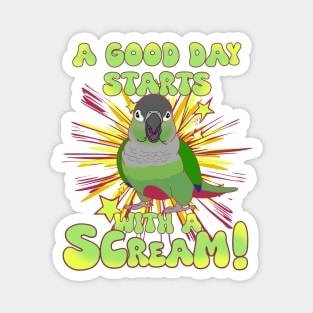 A good day start with a scream! Green cheek conure Magnet