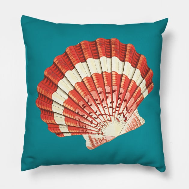 Seashell Pillow by DangerslyHappy