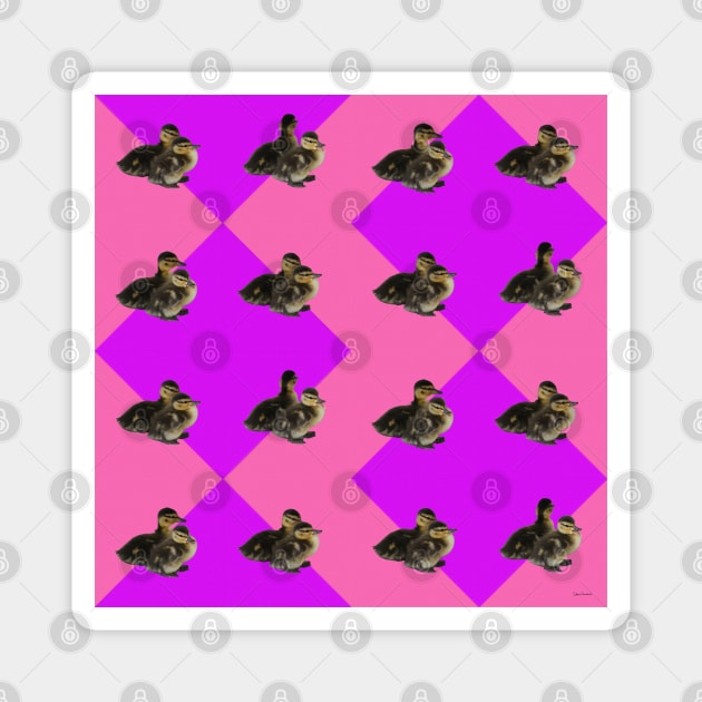 Baby Ducks on Pink Raspberry and Purple Sorbet Pattern Magnet by ButterflyInTheAttic