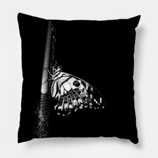 Butterfly in Black and White Pillow