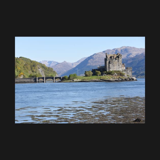 Eilean Donan Castle on a summer afternoon  in the Highlands of Scotland by goldyart