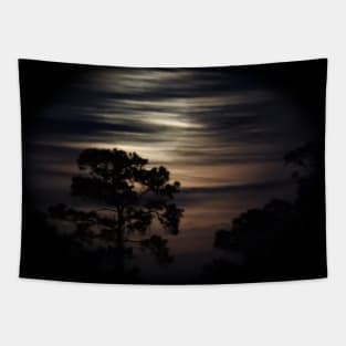 Moonlit Sky Tapestry