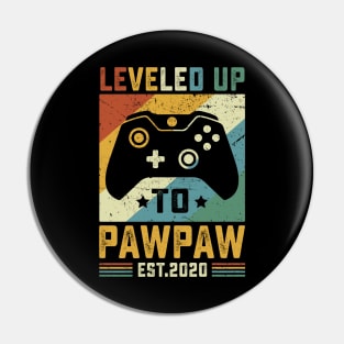 Vintage Leveled Up To Pawpaw Est.2020 Pin