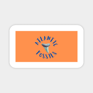 Orange and Royal Blue Nautical Light Blue Atlantic Fossils Shark Tooth Print Magnet