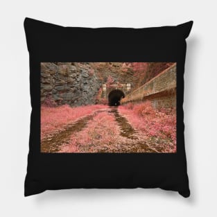 Paw Paw Tunnel - Pink Netherworld Pillow