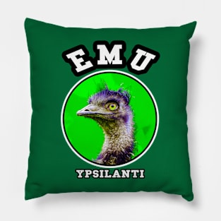 👽 Ypsilanti Michigan Strong, EMU School Spirit, City Pride Pillow