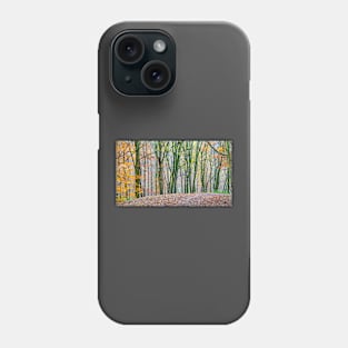 Autumn Woods Phone Case