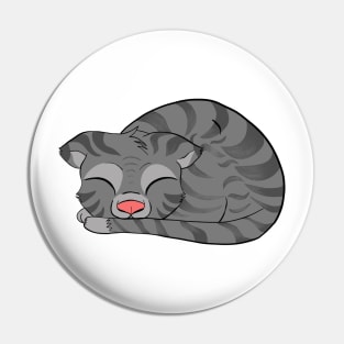 Sleeping cat Pin