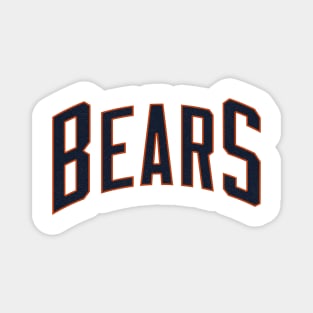 Bears Magnet