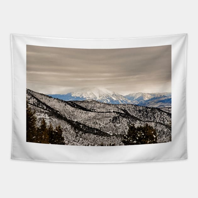 Glenwood Springs Park View Tapestry by bobmeyers