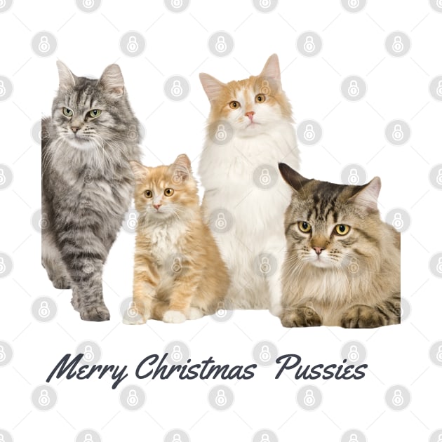 Cat Christmas by Proway Design