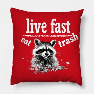 Live Fast Eat Trash Pillow