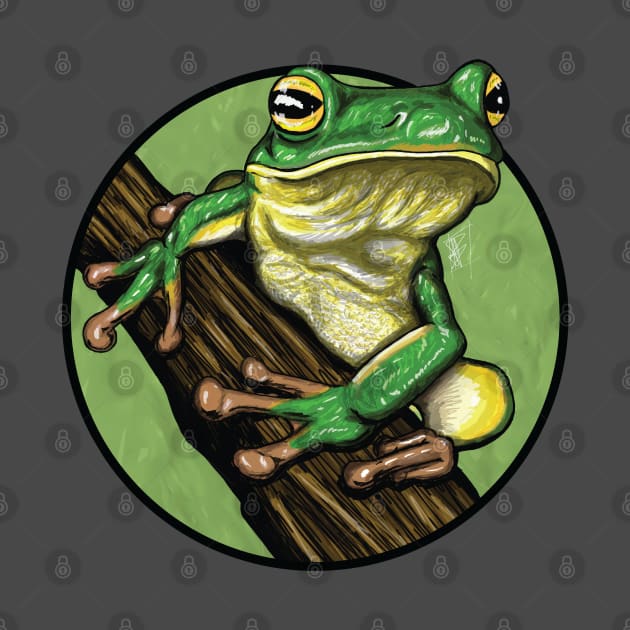 Tree Frog by adamtyberius