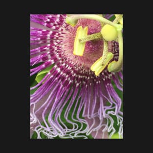 Passion Flower Detail T-Shirt