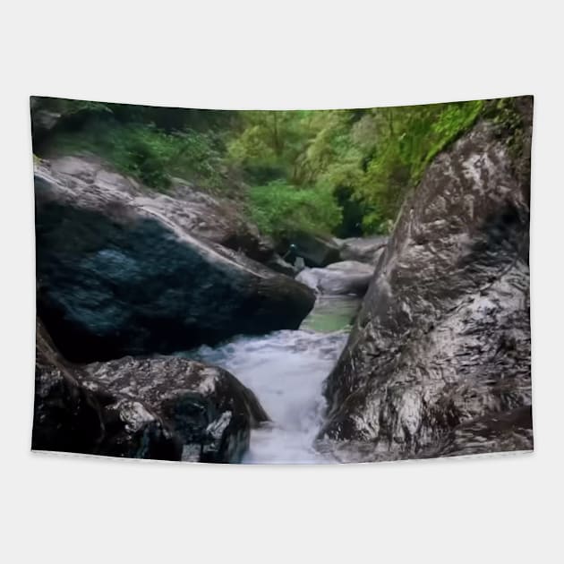 natural waterslide Tapestry by DREAMBIGSHIRTS