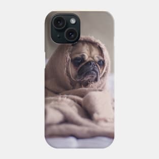 pug in a blanket Phone Case