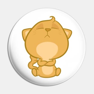 adorable sulky cat Pin
