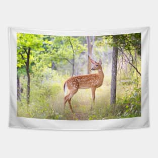 Storybook Fawn Tapestry