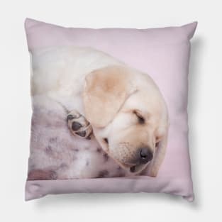 Lab in pink Pillow