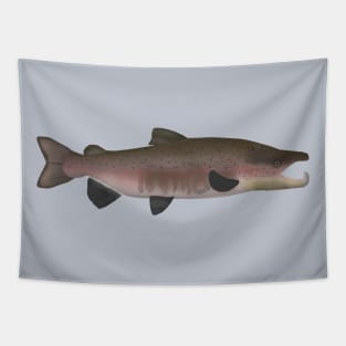 Atlantic Salmon -  Spawn Phase Tapestry