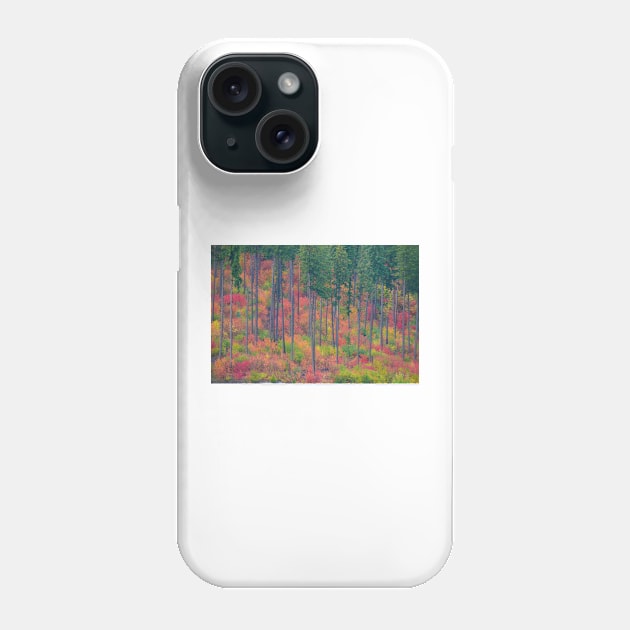 Fall in the Cascades Phone Case by kchase