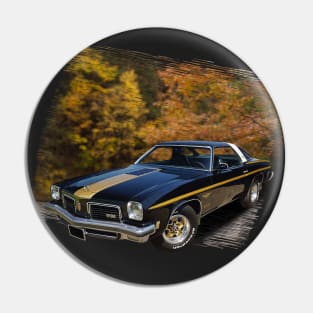 1974 Hurst Olds 442 in our fall day series on back Pin