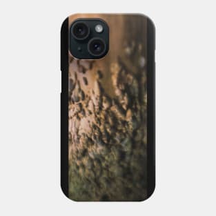 Black Rock Phone Case