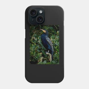 OAKEY COKEY CORMORANT Phone Case