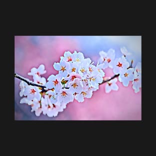 Japanese Cherry Blossom T-Shirt