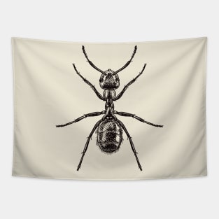 Drawing of an ant Tapestry