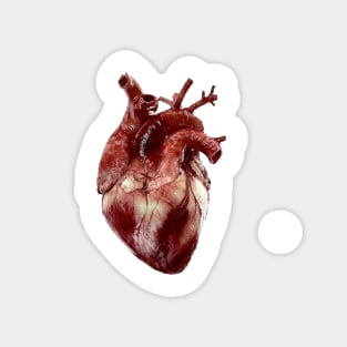 Realistic Heart large Magnet