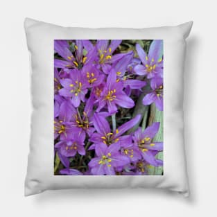 Crocus - by South Australian artist Avril Thomas at Magpie Springs - Adelaide Hills  - Fleurieu Peninsula - South Australia Pillow