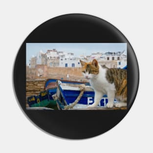 Maroc - Chat d'Essaouira Pin