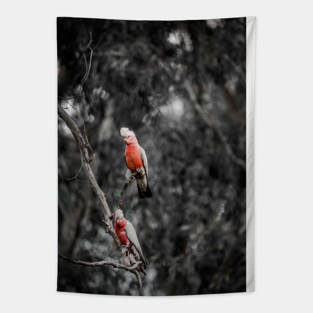 Galah_9001A Tapestry by seadogprints