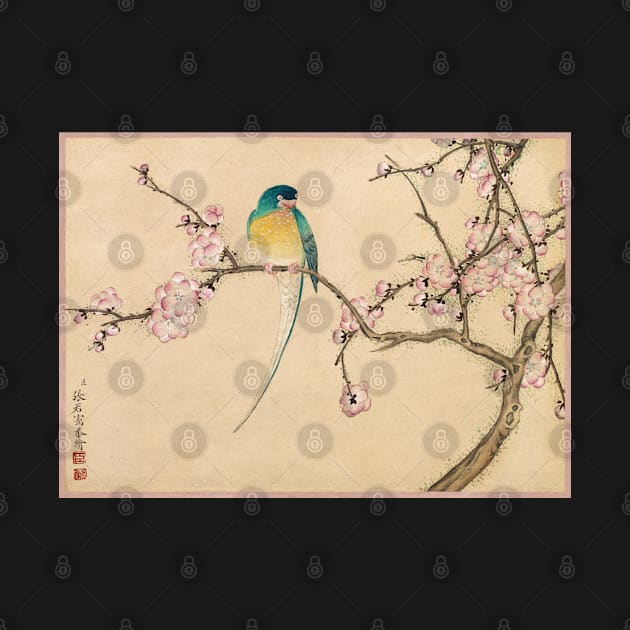 Bird with Plum Blossoms by Zhang Ruoai by Oldetimemercan