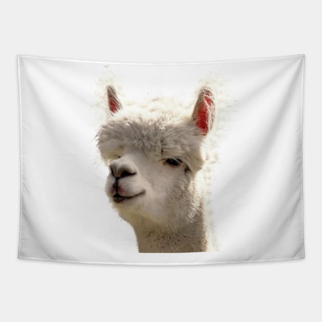 Alpaca! Tapestry by MysticTimeline