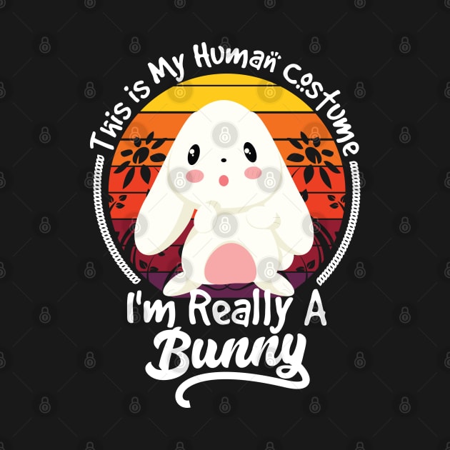 this is my human costume i'm really a bunny by youki