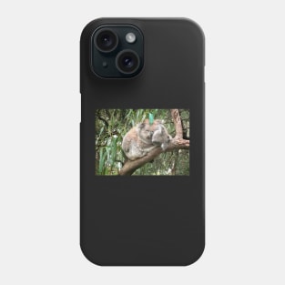 Koala bear mother and baby Phone Case