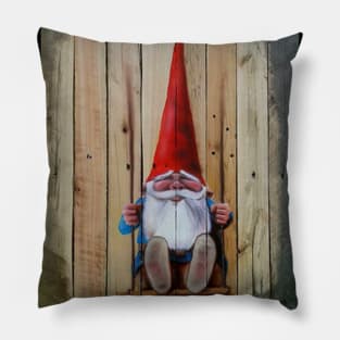 Gnome on a Swing Pillow