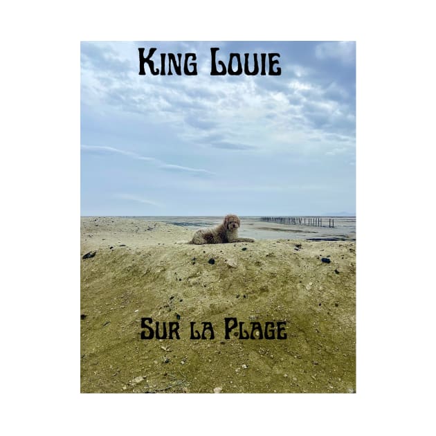 King Louie sur la plage by motredlac 