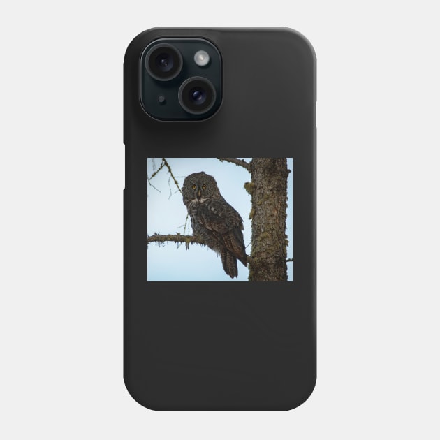 Great Grey Owl Phone Case by StevenElliot